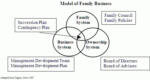 Organization structures   family business experts